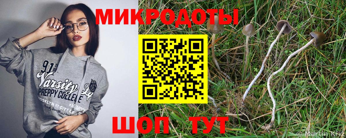 Псилоцибиновые грибы прущие грибы Тавда