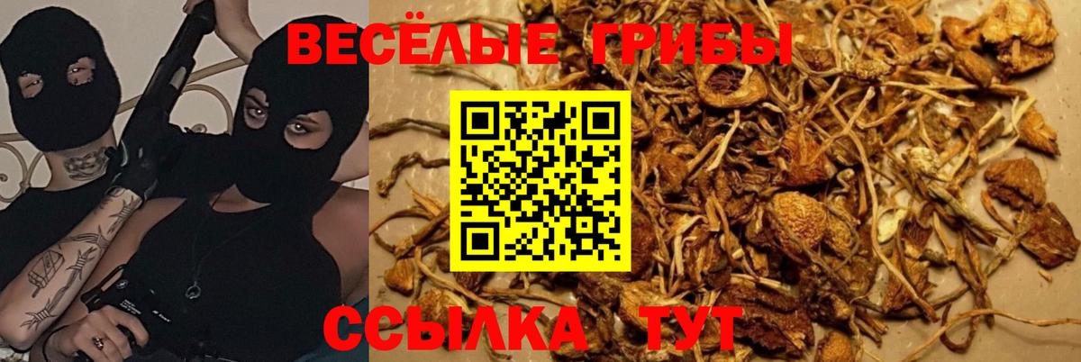 ГАШ  A PVP СК кристаллы  Меф кристаллы  LSD-25  Конопля  Тавда  Вход с VPN  КОКАИН 