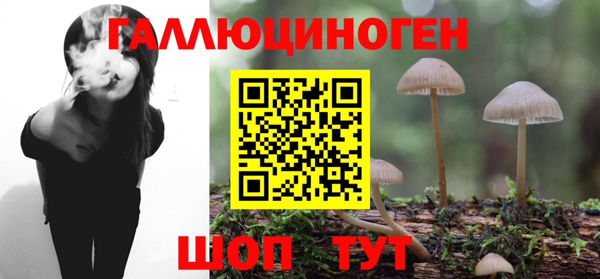Псилоцибиновые грибы мицелий  Галлюциногенные грибы прущие грибы  Тавда  Вход с VPN 